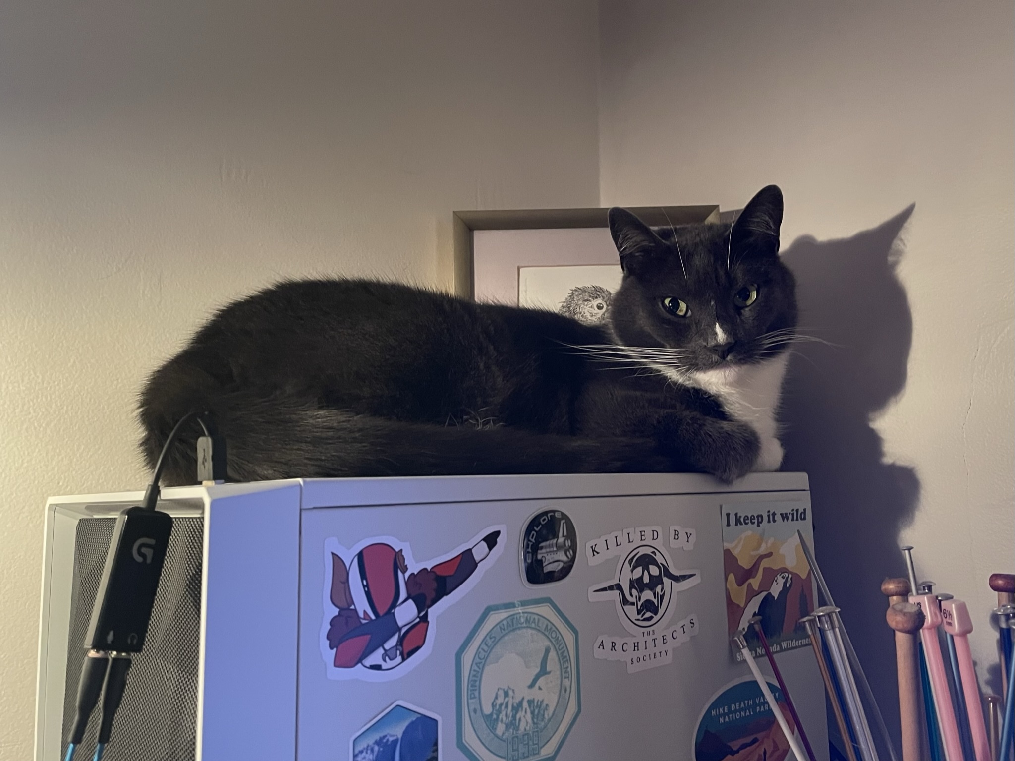 Walter enjoys some exhaust heat from my PC