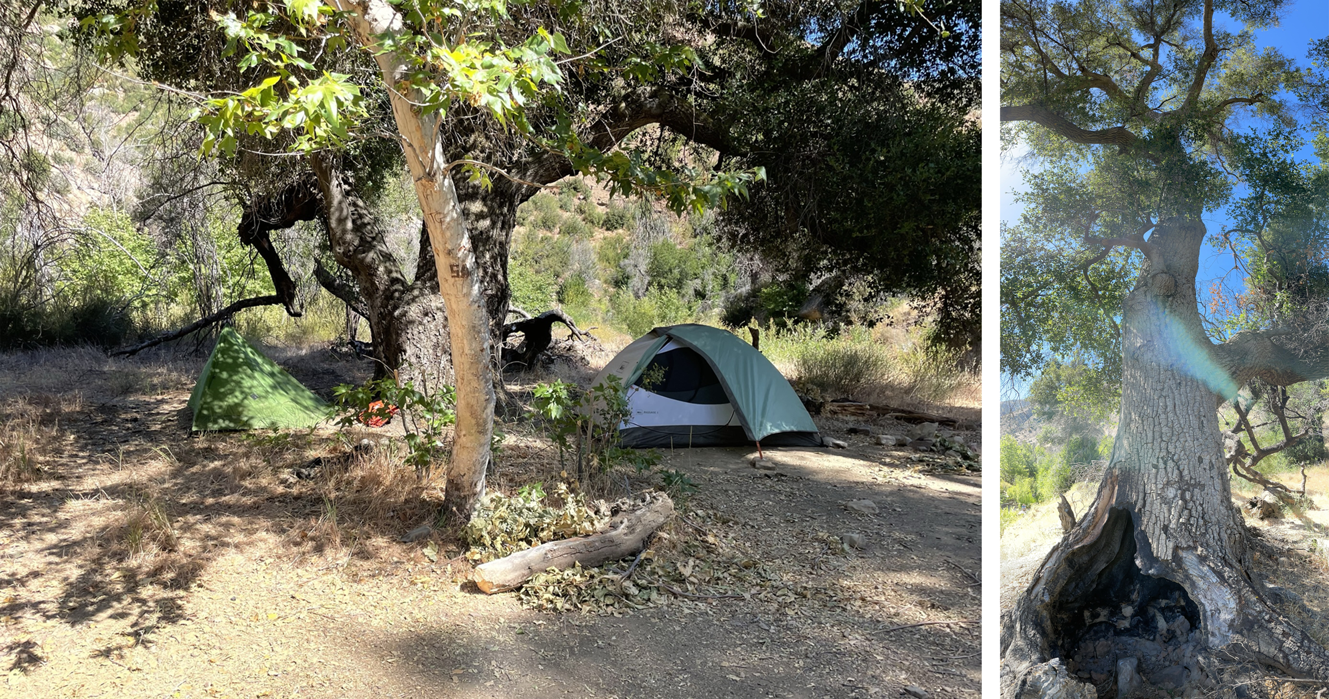 Camping under the large trees at Middle Matilija Camp.