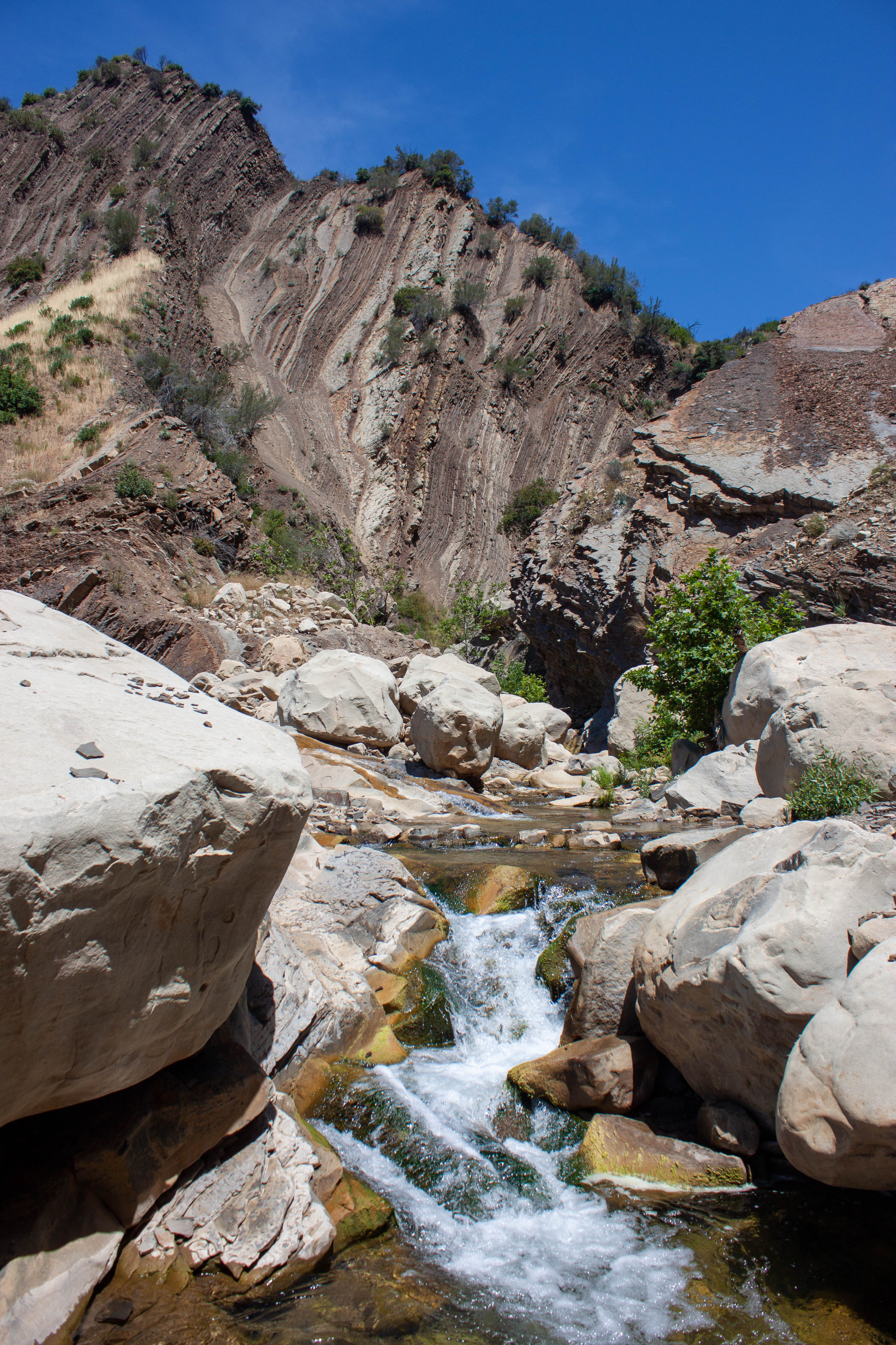 Water flowing in the upper north fork of Matilija Creek, June 2020.